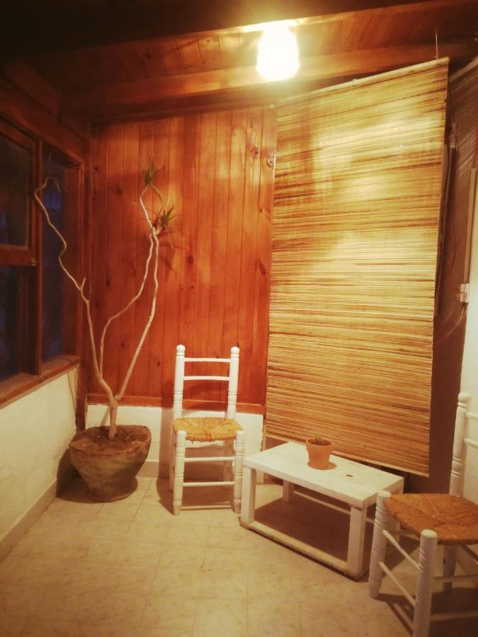 El Canto De La Ballena Loft 1 ปูแอร์โตปีรามีเดส ภายนอก รูปภาพ
