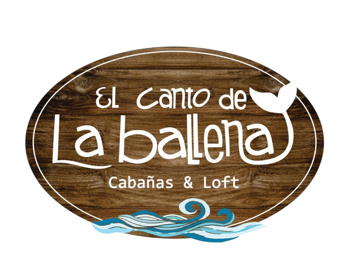 El Canto De La Ballena Loft 1 ปูแอร์โตปีรามีเดส ภายนอก รูปภาพ